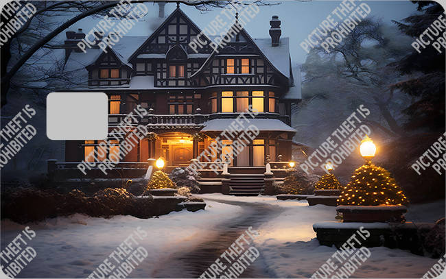 Bank  Card Sticker-BC-2813